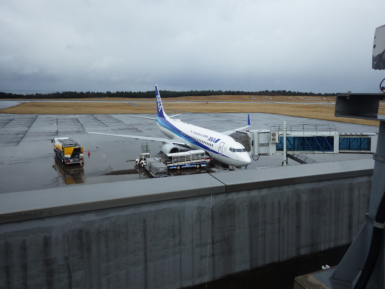 駐機中の東京定期便（B737）